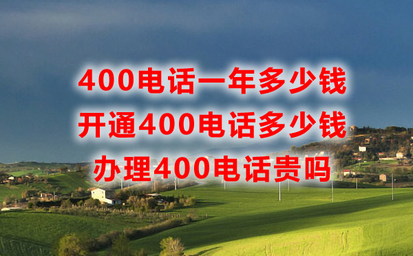 申請400電話一年需要多少錢